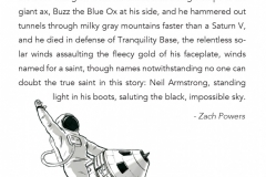 Neil Armstrong, Folk Hero