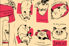 Shycat zine